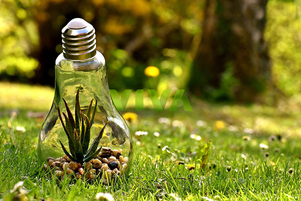 Description: https://lh4.googleusercontent.com/l3jF1iaFhW_99Czzmf4nt9fWGWyeqWfhwVDsH8YKmgczAskEDAUvi8iu89TcNvLG-_WTzUvtknQVfV5hO33buusdzpwFeRyOVoN262SQ3afE9hqmSMqCYx3F4wlDtic7ygqE1ocA