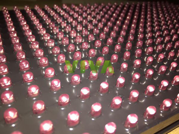 Description: https://lh4.googleusercontent.com/IDJQCeSZv1S_AjWfeOGQ9ts-Yc-doi17eHkJQNMf6yzajIvJsC_GJZfEU7mNYU2TS8RuKf5Qq0vQ_miP0GfVr4hVb1kFkdzZp1-c_nIT06nFCJ-OlwOgb4FcclVHBRzdMajl4pQs